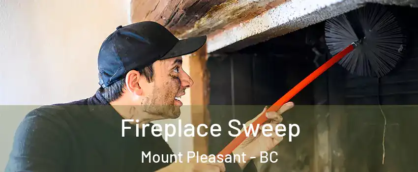  Fireplace Sweep Mount Pleasant - BC