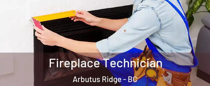 Fireplace Technician Arbutus Ridge - BC