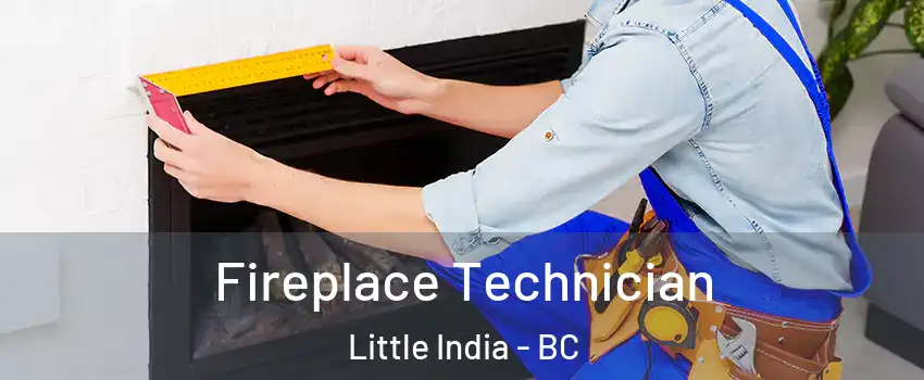 Fireplace Technician Little India - BC