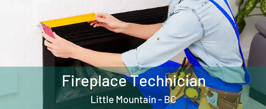 Fireplace Technician Little Mountain - BC