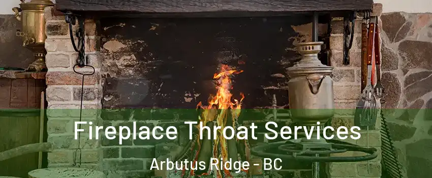  Fireplace Throat Services Arbutus Ridge - BC