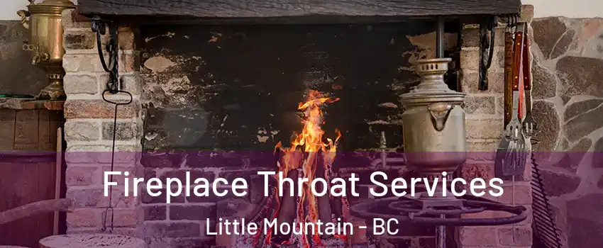 Fireplace Throat Services Little Mountain - BC