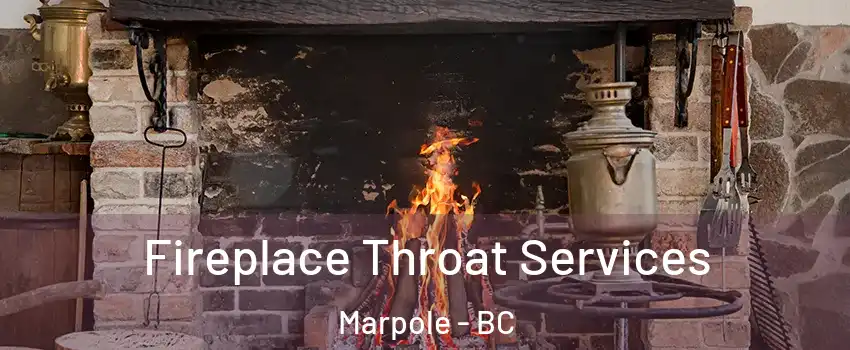  Fireplace Throat Services Marpole - BC