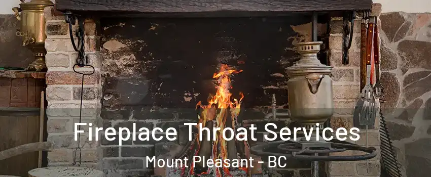  Fireplace Throat Services Mount Pleasant - BC