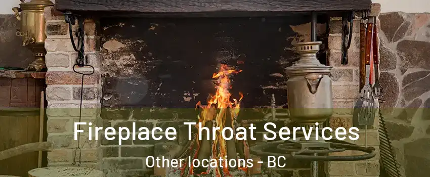  Fireplace Throat Services Other locations - BC