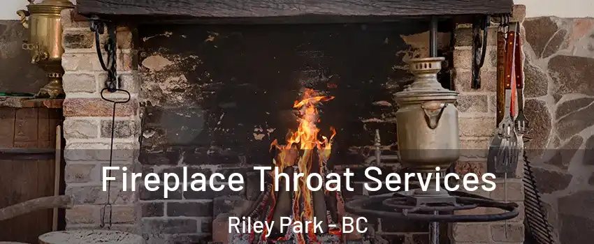  Fireplace Throat Services Riley Park - BC