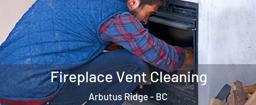  Fireplace Vent Cleaning Arbutus Ridge - BC