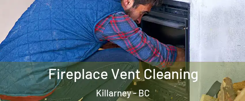  Fireplace Vent Cleaning Killarney - BC