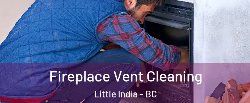  Fireplace Vent Cleaning Little India - BC