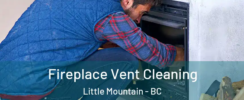  Fireplace Vent Cleaning Little Mountain - BC