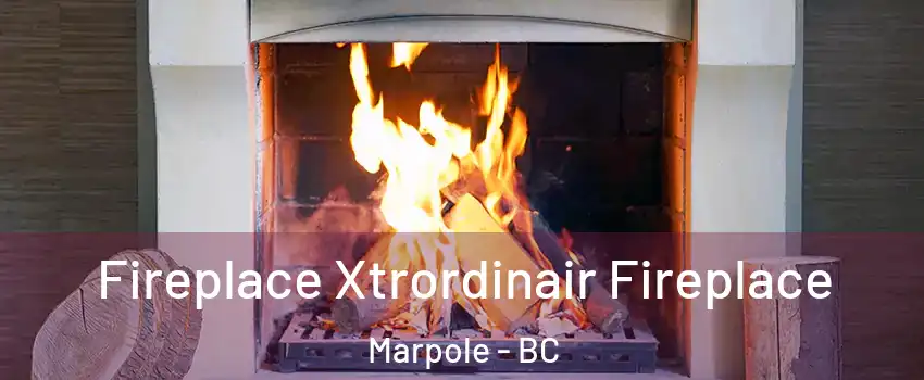  Fireplace Xtrordinair Fireplace Marpole - BC
