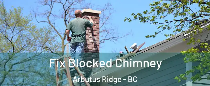 Fix Blocked Chimney Arbutus Ridge - BC