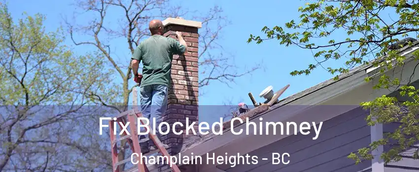  Fix Blocked Chimney Champlain Heights - BC