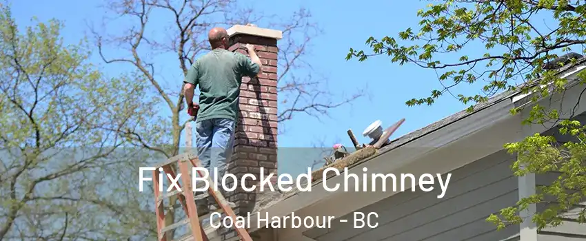  Fix Blocked Chimney Coal Harbour - BC