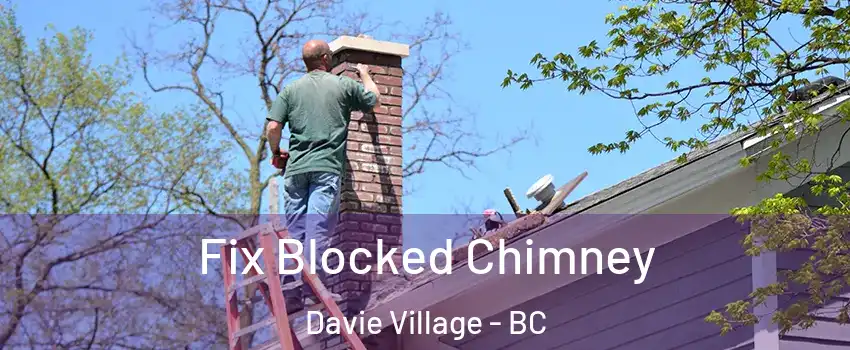  Fix Blocked Chimney Davie Village - BC