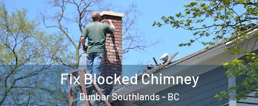  Fix Blocked Chimney Dunbar Southlands - BC