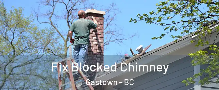  Fix Blocked Chimney Gastown - BC
