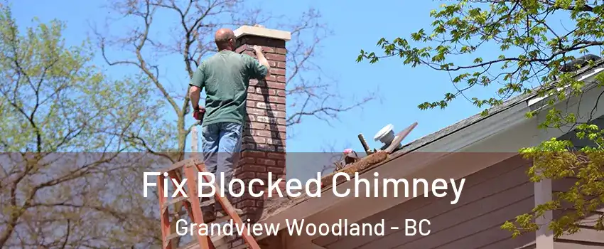  Fix Blocked Chimney Grandview Woodland - BC