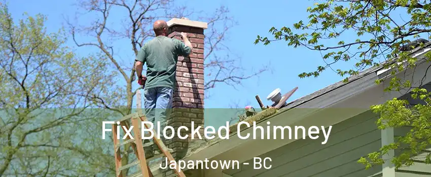  Fix Blocked Chimney Japantown - BC