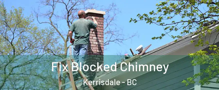  Fix Blocked Chimney Kerrisdale - BC