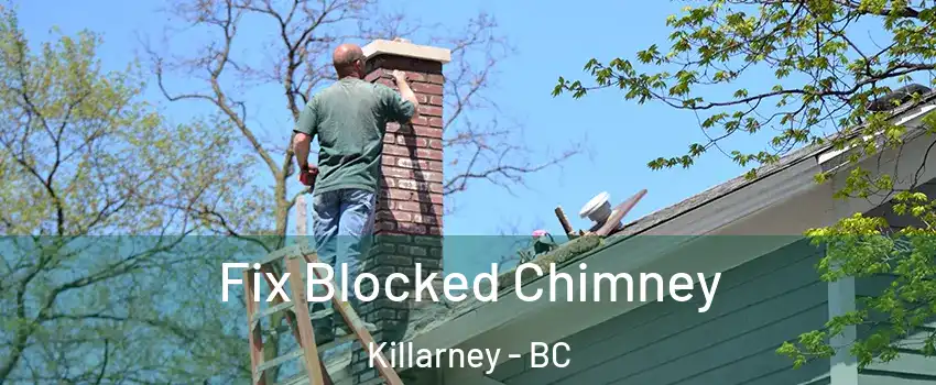  Fix Blocked Chimney Killarney - BC