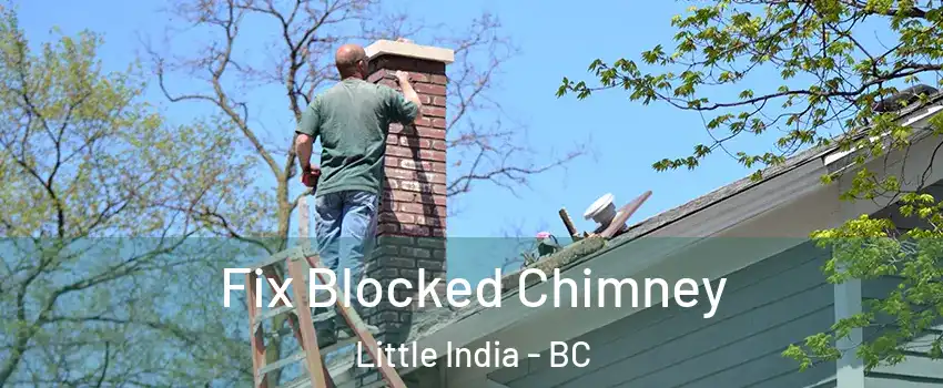  Fix Blocked Chimney Little India - BC