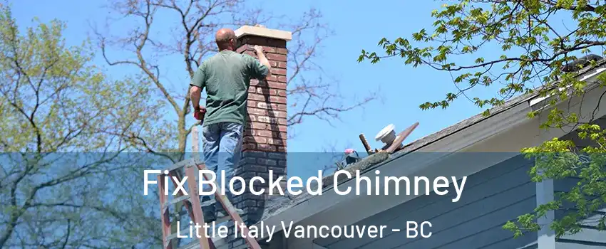  Fix Blocked Chimney Little Italy Vancouver - BC