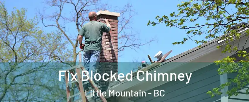  Fix Blocked Chimney Little Mountain - BC