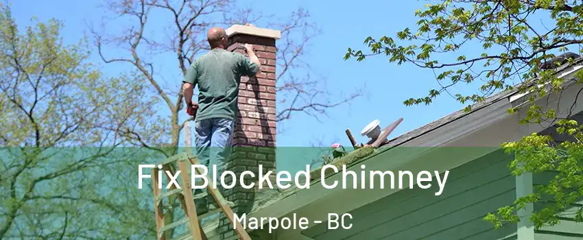  Fix Blocked Chimney Marpole - BC