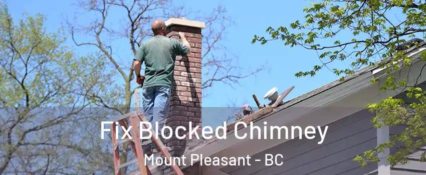  Fix Blocked Chimney Mount Pleasant - BC