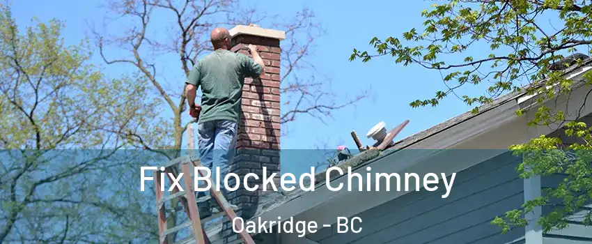  Fix Blocked Chimney Oakridge - BC