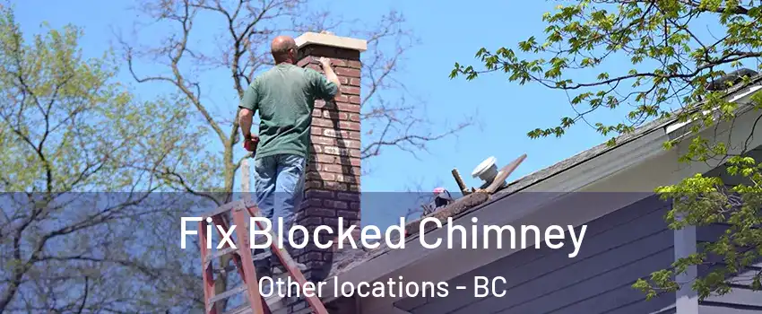  Fix Blocked Chimney Other locations - BC