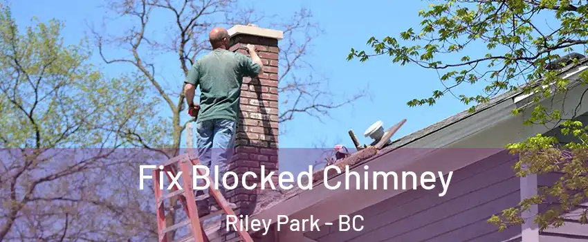  Fix Blocked Chimney Riley Park - BC