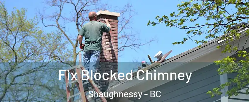  Fix Blocked Chimney Shaughnessy - BC