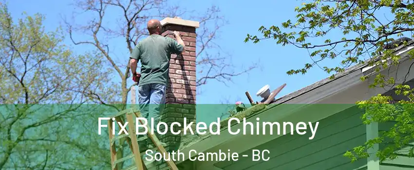  Fix Blocked Chimney South Cambie - BC