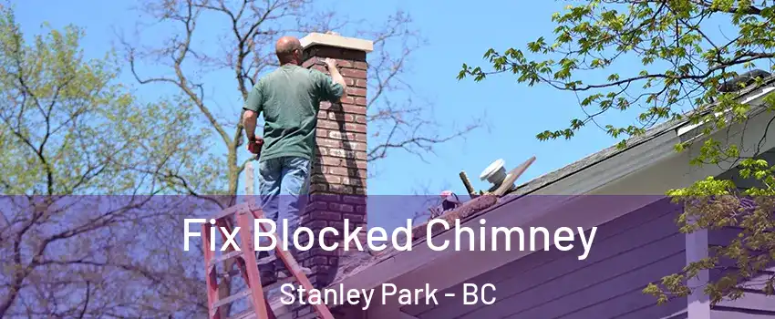  Fix Blocked Chimney Stanley Park - BC