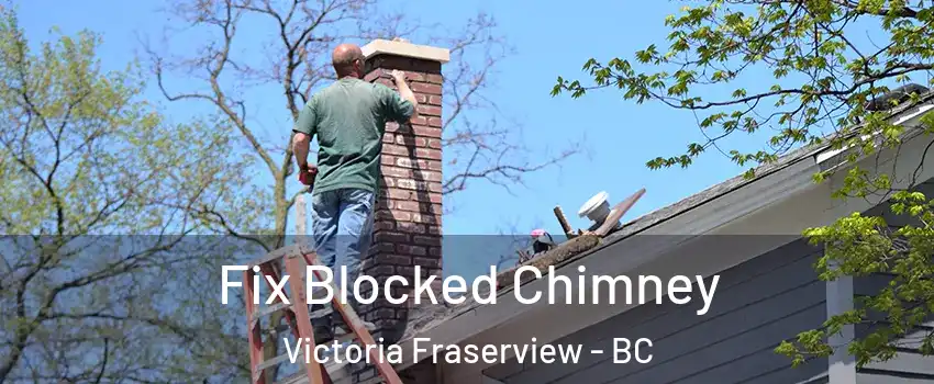  Fix Blocked Chimney Victoria Fraserview - BC