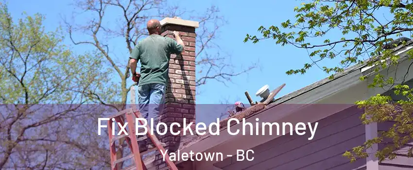  Fix Blocked Chimney Yaletown - BC