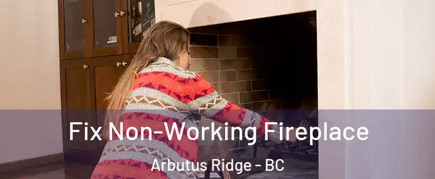  Fix Non-Working Fireplace Arbutus Ridge - BC