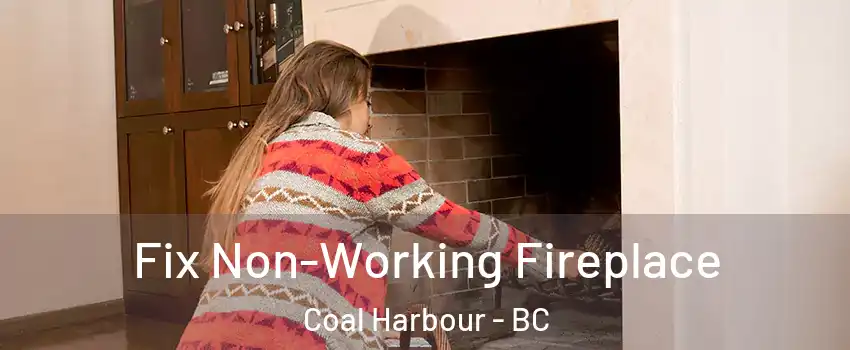  Fix Non-Working Fireplace Coal Harbour - BC