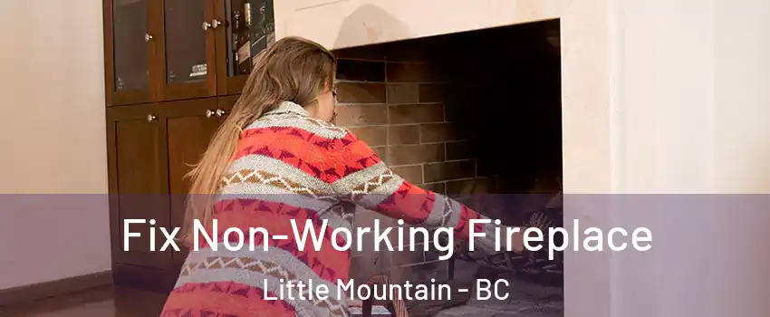  Fix Non-Working Fireplace Little Mountain - BC