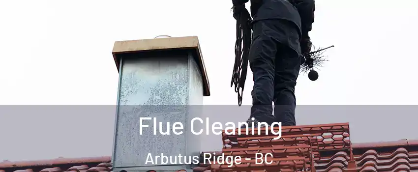  Flue Cleaning Arbutus Ridge - BC