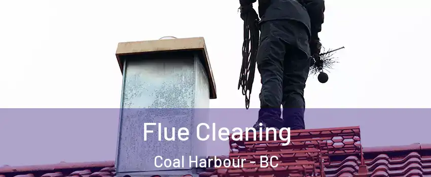  Flue Cleaning Coal Harbour - BC
