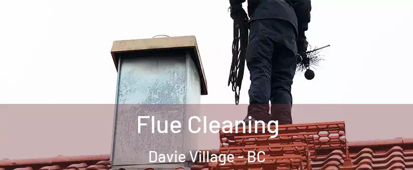  Flue Cleaning Davie Village - BC