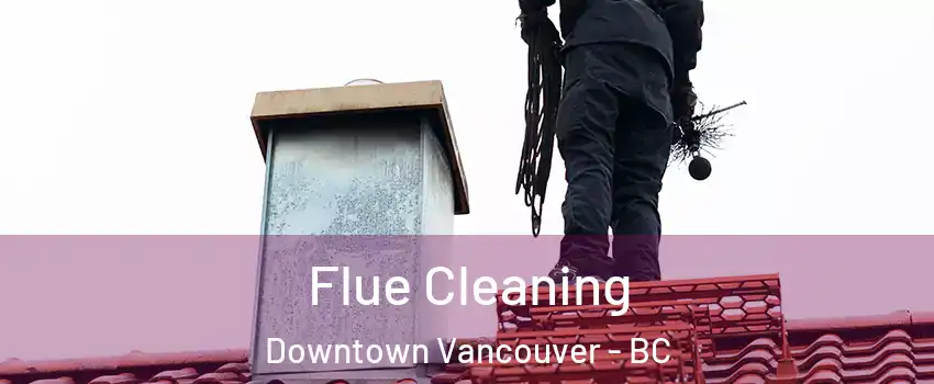  Flue Cleaning Downtown Vancouver - BC