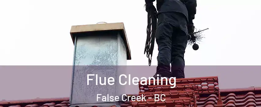  Flue Cleaning False Creek - BC