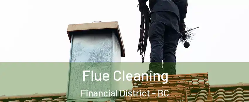  Flue Cleaning Financial District - BC