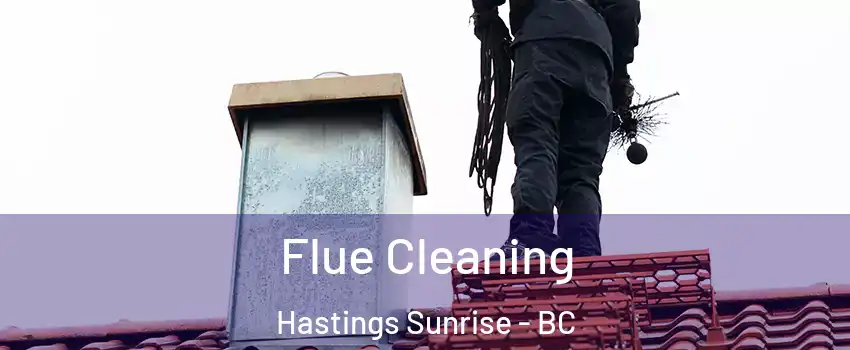  Flue Cleaning Hastings Sunrise - BC