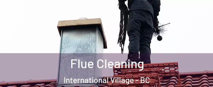  Flue Cleaning International Village - BC