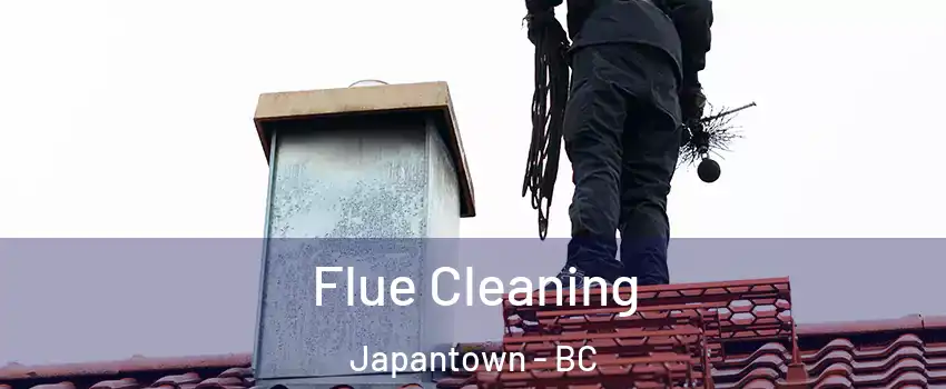  Flue Cleaning Japantown - BC